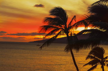 Maui Sunset