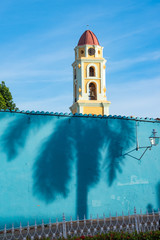 Royal Palm shadow on a wall in the city of Trinidad .