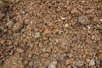 clay