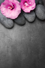 Fototapeta na wymiar Spa stones and flowers on grey background