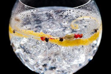 Obrazy na Szkle  Gin z tonikiem