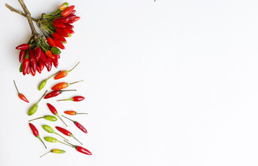 Fototapeta na wymiar fresh chilli peppers, various kinds on white, space for advertis