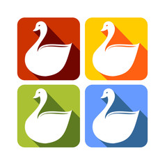 Swan Square Flat Icons