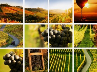 country wine collage