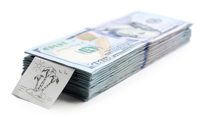 Pack of American dollars, isolated on white. Saving concept