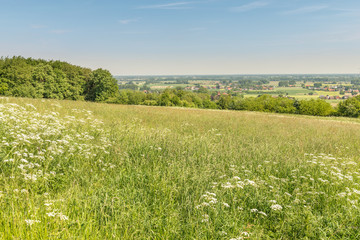 Landschaft in Minden, NRW, Deutschland