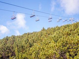 chairlift transport system over pine trees