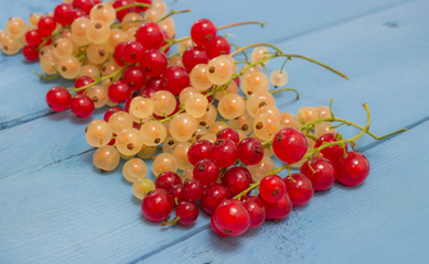 red and white currants on a blue board
