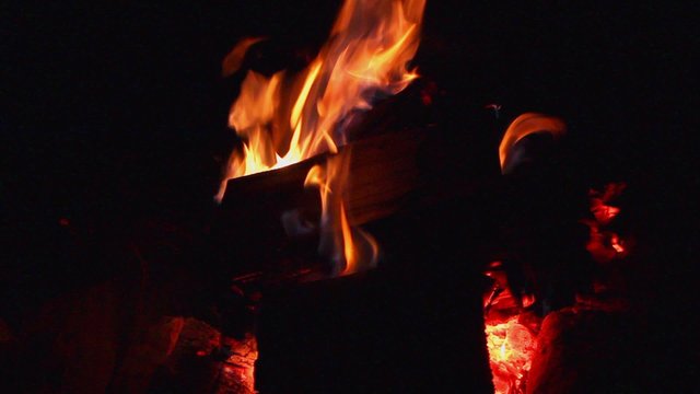 Log fire in high mountains in evergreen forest; closeup; 