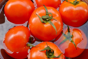 red tomatoes background. Group of tomatoes