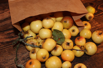 Holzäpfel auf altem Holztisch