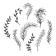 Fototapeta premium Hand drawn floral ornaments.