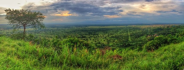 Queen Elizabeth Nationalpark, Uganda, Afrika