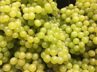white grape background