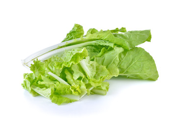 Fresh green lettuce sliced on  white  background