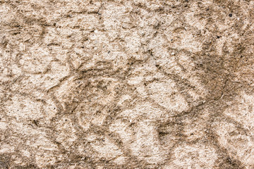 Brown rock cracks background.