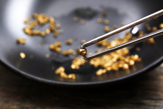 Tweezers holding Gold nugget grain, on black background, close-up