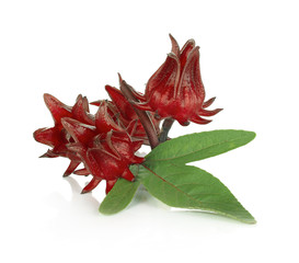 Fresh roselle on white background