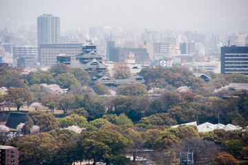 桜咲く熊本城を含んだ熊本市風景