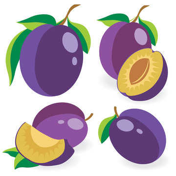 Collection of vector plums