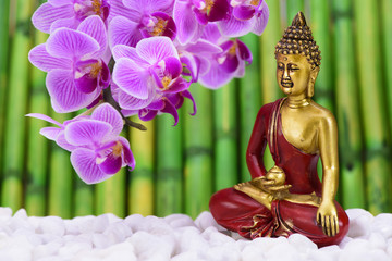 ZEN Garten mit Buddha und Orchidee mit Bambus