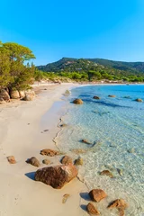 Cercles muraux Plage de Palombaggia, Corse Belle plage de sable de Palombaggia avec de l& 39 eau de mer azur, île de Corse, France