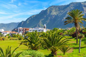 Tropical palm trees in mountain landscape of northern Tenerife with Buenavista del Norte town in distance, Canary Islands, Spain © pkazmierczak
