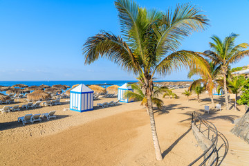 Obraz na płótnie Canvas A view of sandy El Duque beach with tropical palm trees in Costa Adeje town, Tenerife, Canary Islands, Spain
