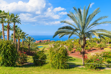 Fototapeta na wymiar Tropical gardens of a luxury hotel which is located on a golf course on Tenerife, Canary Islands, Spain.
