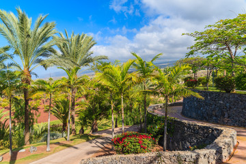 Fototapeta na wymiar Palm trees in tropical landscape of Tenerife, Canary Islands, Spain