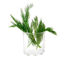 the dill in a glass