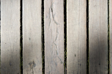 Old gray wood pattern