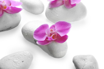 Fototapeta na wymiar White spa stones and orchids isolated on white