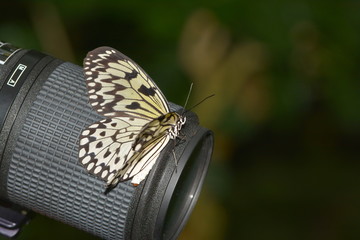 Ungewöhnlicher Landeplatz