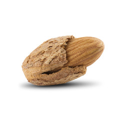 Almond