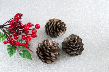Christmas decorations - holly and pine cones