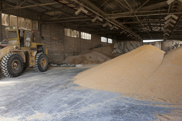 Fototapeta premium Farm with silo and storage space and some machinery