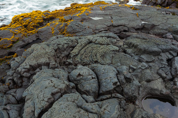 Rocky shore