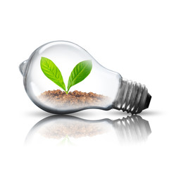 Light Bulb with soil and green plant sprout inside