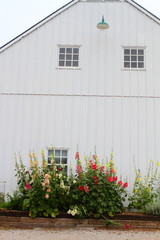 Fototapeta na wymiar White barn and flowers