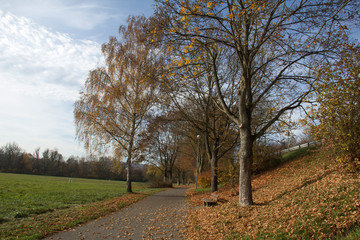 Autumn Park