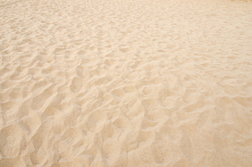 Naklejka na ściany i meble footprints on the beach sand