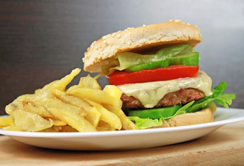 hamburger with fries