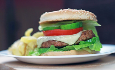 hamburger with fries
