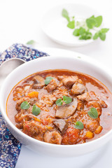 Chicken ragout with pumpkin, mushrooms and oregano stewed in red wine in a white ceramic bowl. Closeup.