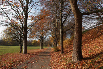 Naklejka premium Autumn Park