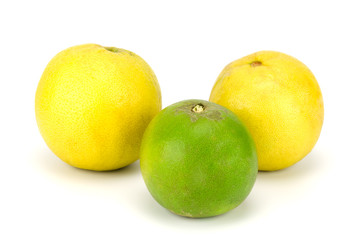 Green and yellow lemon