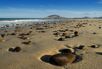 Fototapeta na wymiar Cabo Pulmo Playa de Cabo Pulmo en Baja California Sur