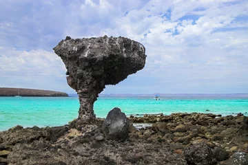 Fotobehang Piedra de Balandra Beroemde steen gelegen aan het strand van Balandra in de gemeente La Paz, Baja California Sur in Mexico. © oliviermartinet