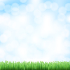 spring sky background with green grass
